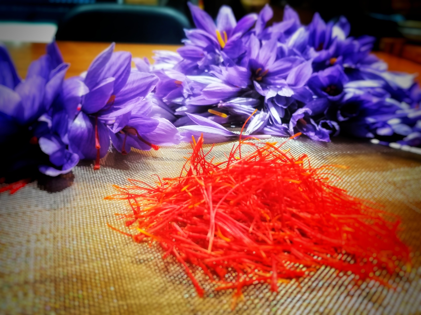 courseincreation.saffron